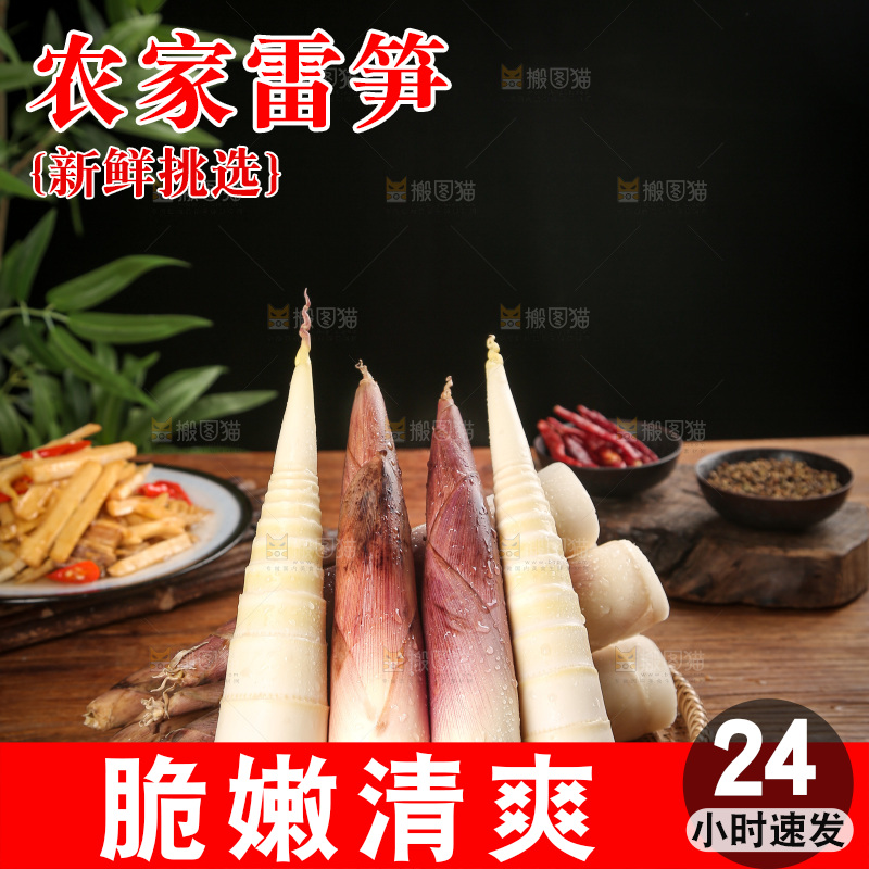 深底上的雷笋