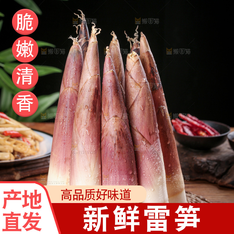 深底上的雷笋