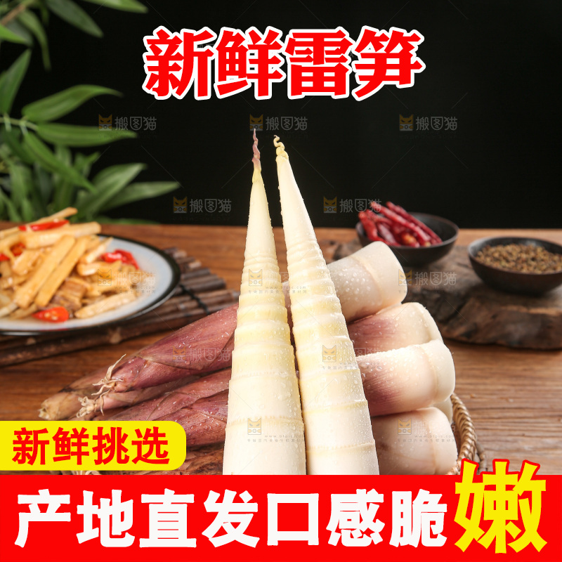 深底上的雷笋