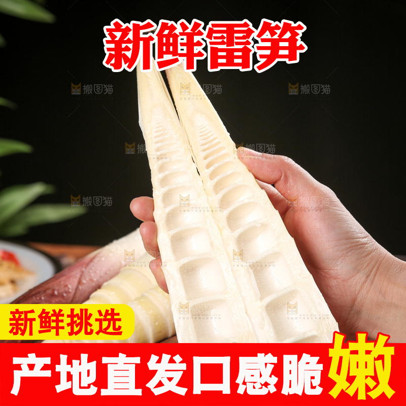 深底上的雷笋