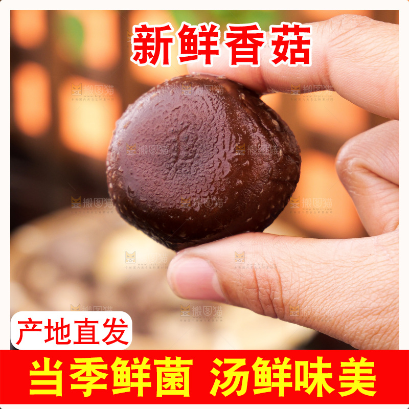 深底上的香菇