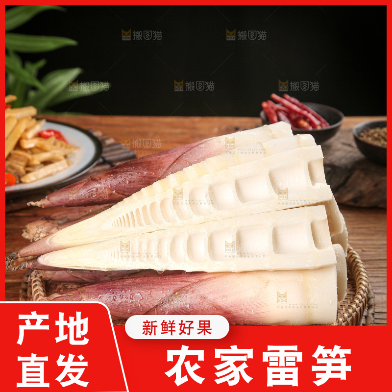 深底上的雷笋