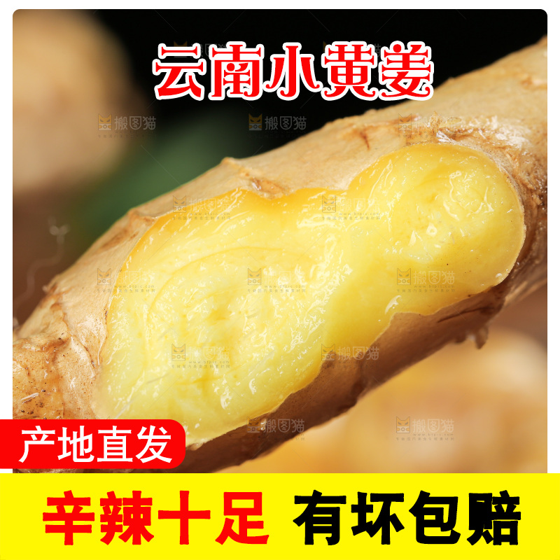 深底上的小黄姜