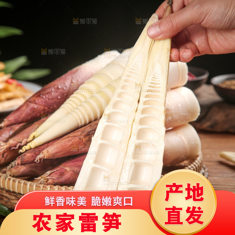 深底上的雷笋