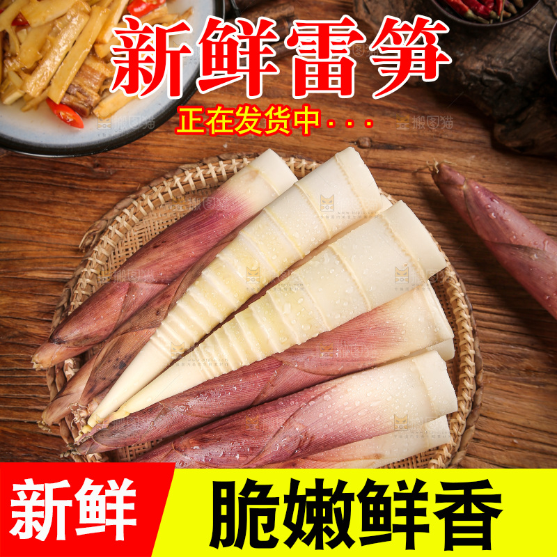深底上的雷笋