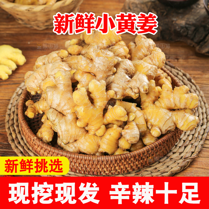 深底上的小黄姜