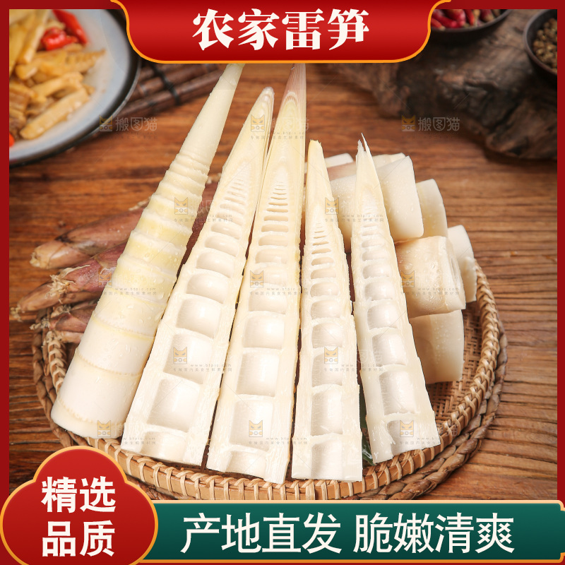 深底上的雷笋