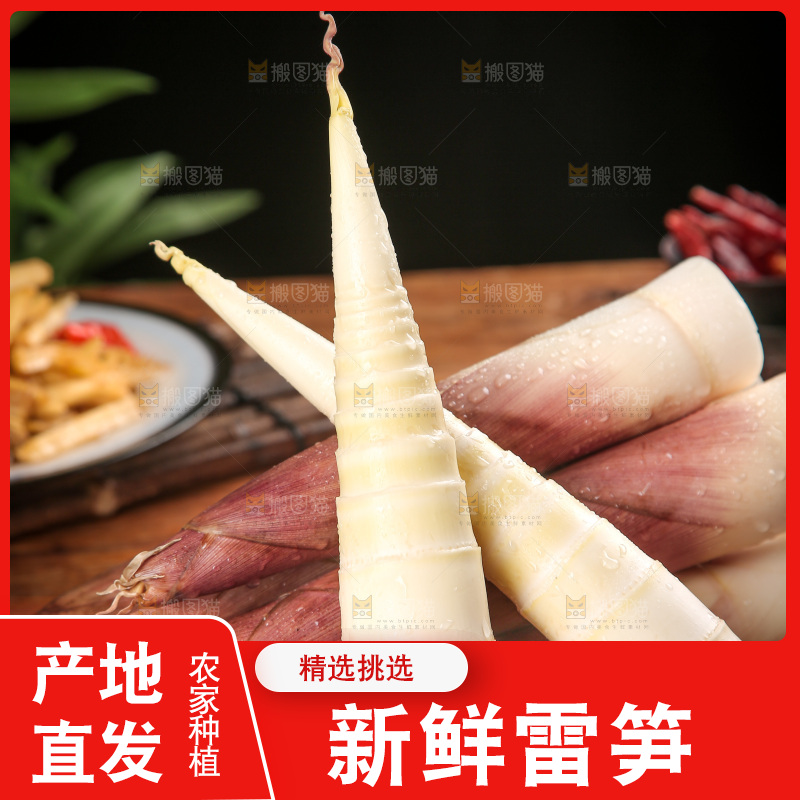深底上的雷笋