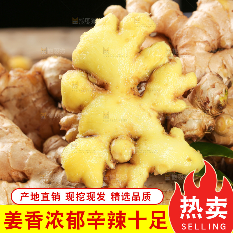 深底上的小黄姜
