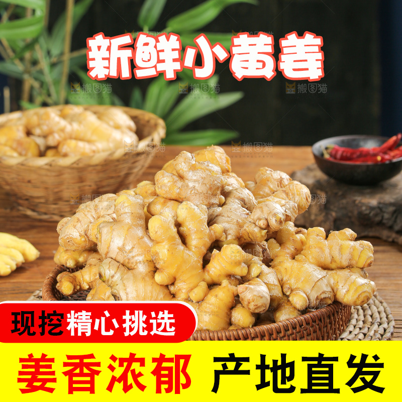 深底上的小黄姜