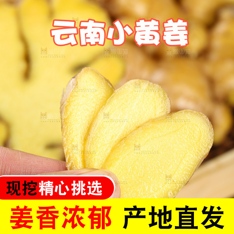 深底上的小黄姜
