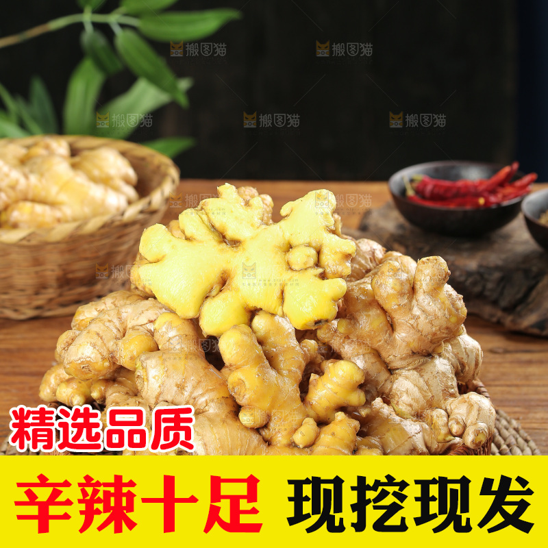 深底上的小黄姜