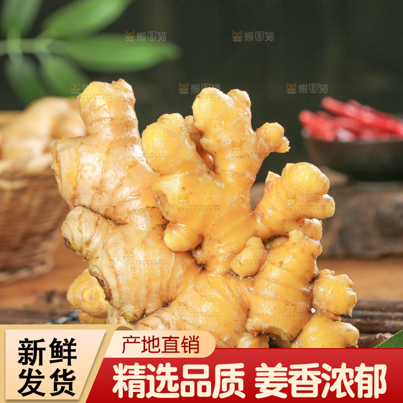 深底上的小黄姜