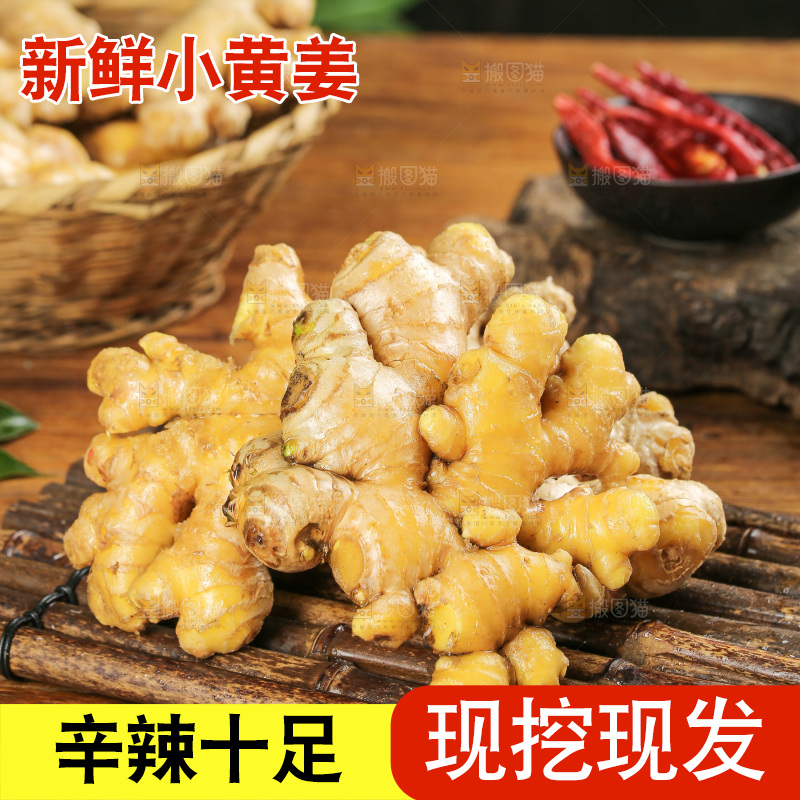 深底上的小黄姜