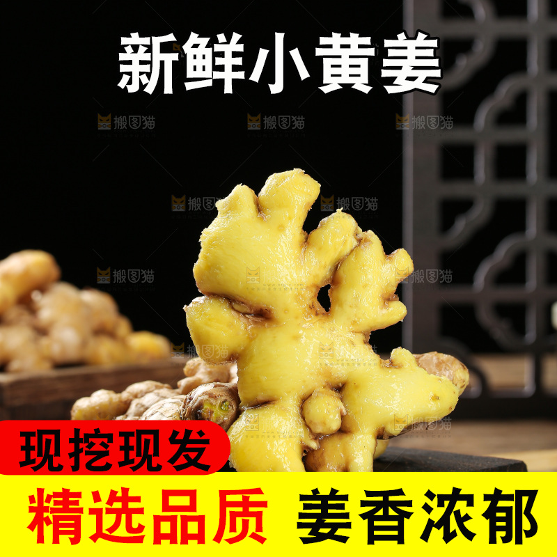 深底上的小黄姜