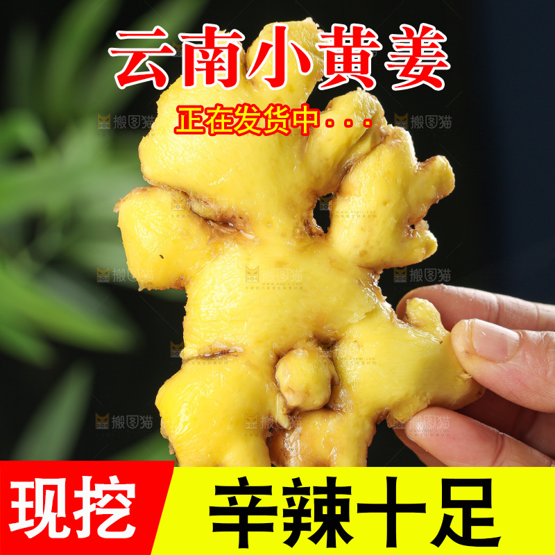 深底上的小黄姜