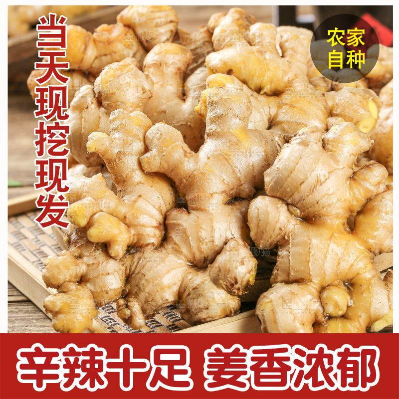 深底上的小黄姜