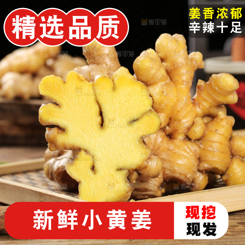 深底上的小黄姜