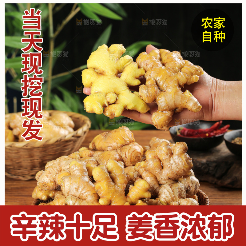 深底上的小黄姜