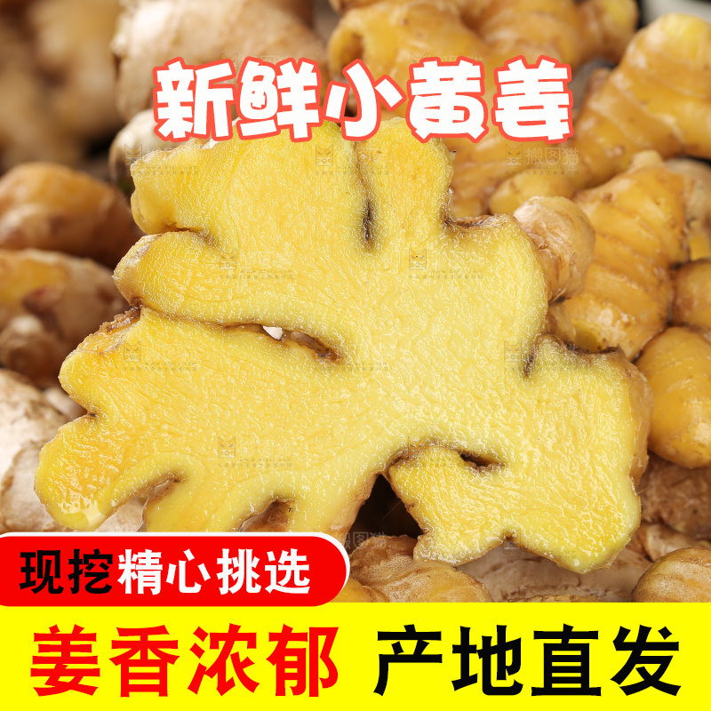 深底上的小黄姜
