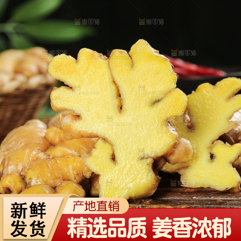 深底上的小黄姜