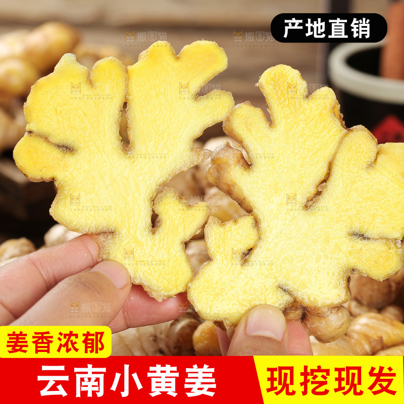 深底上的小黄姜