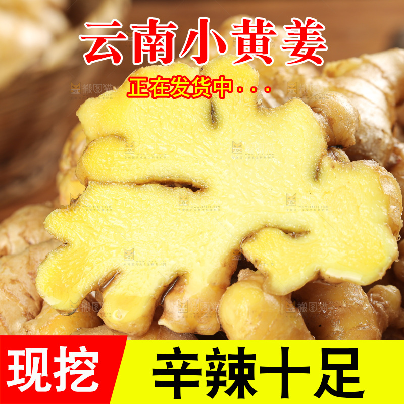 深底上的小黄姜