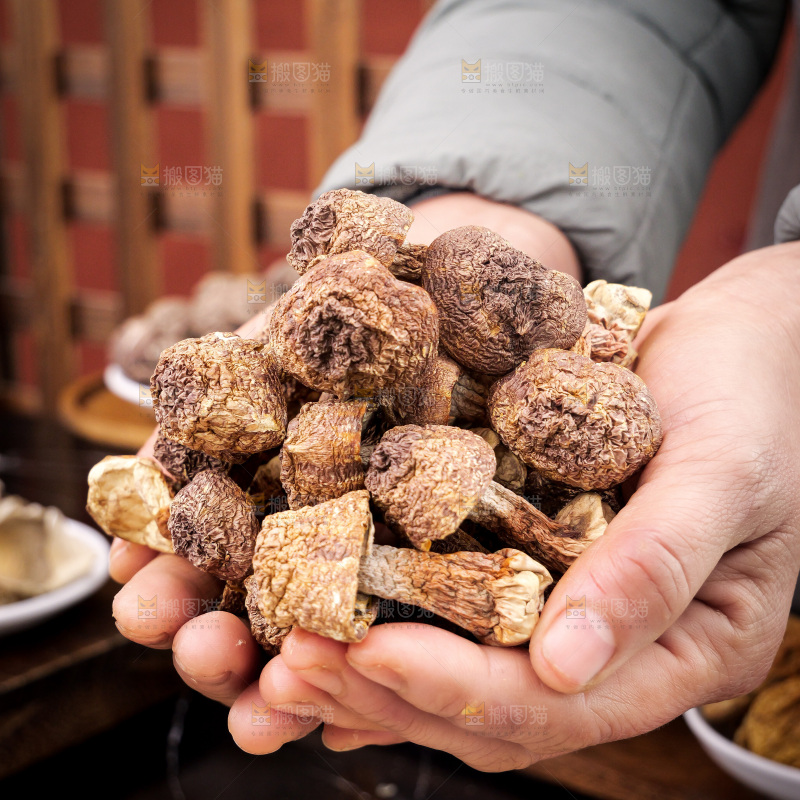深底上的姬松茸
