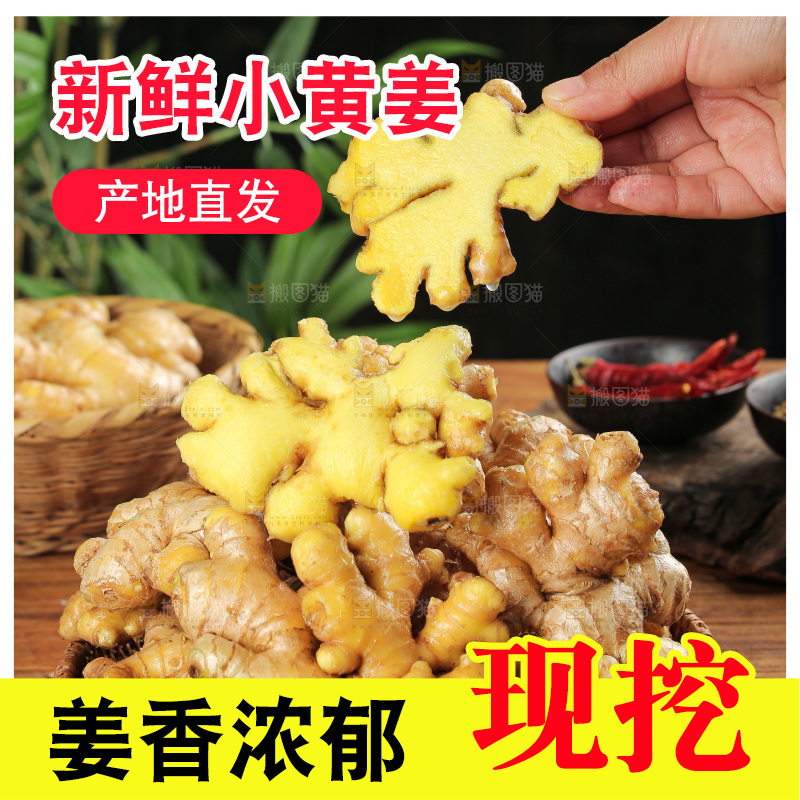 深底上的小黄姜