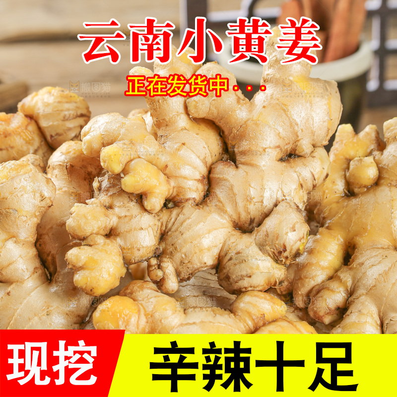深底上的小黄姜