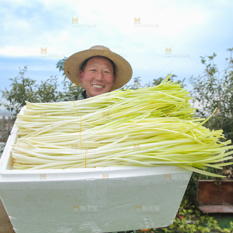 手上拿着新鲜韭黄