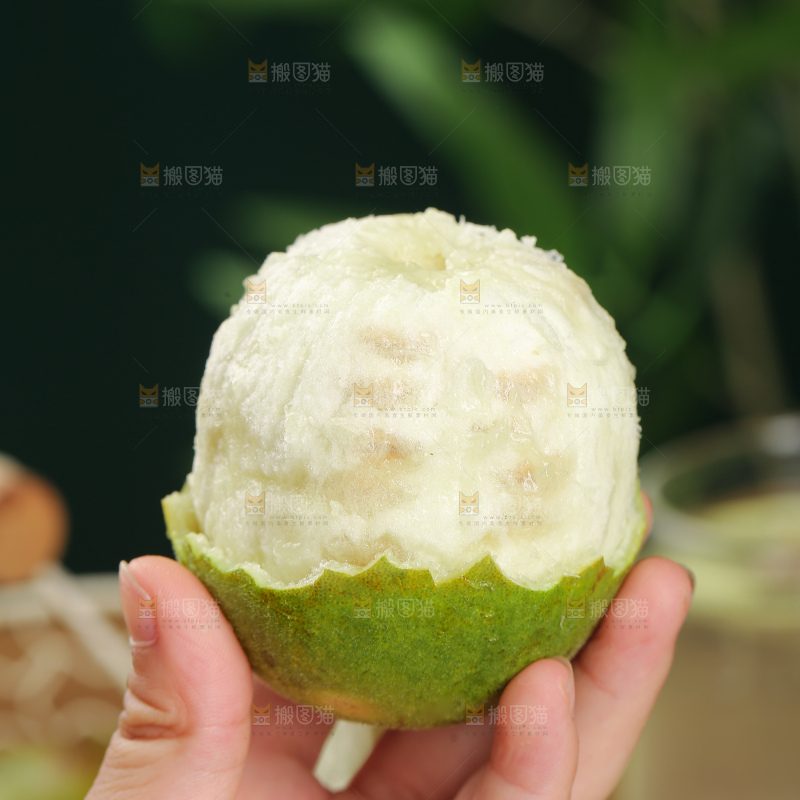 浅底上新鲜罗汉果