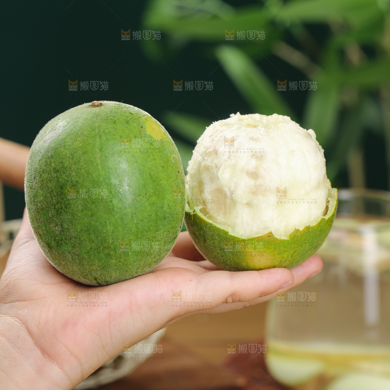 浅底上新鲜罗汉果