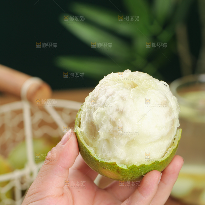 浅底上新鲜罗汉果