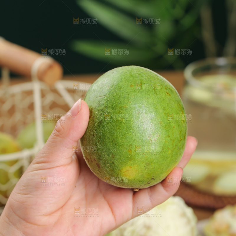 浅底上新鲜罗汉果