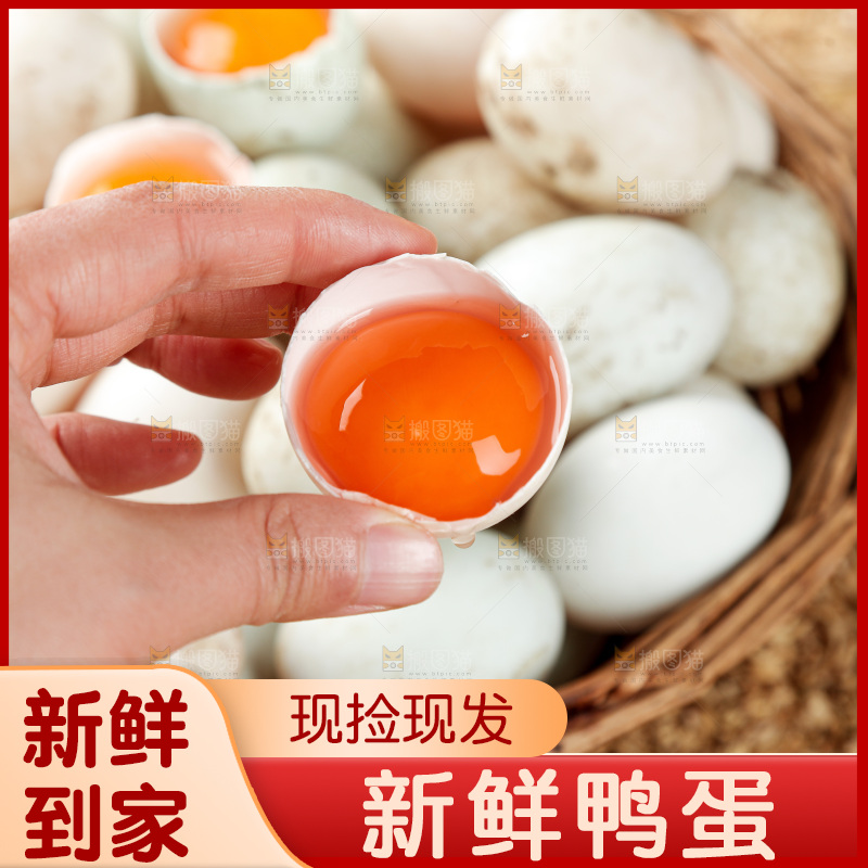 浅底上的鸭蛋