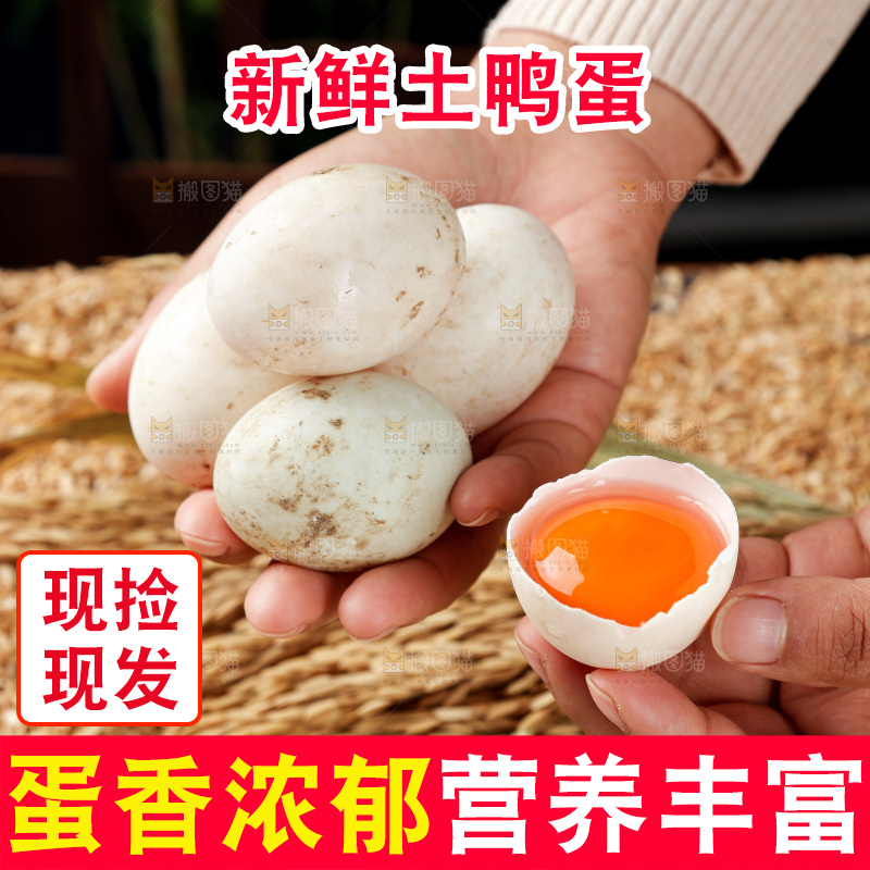 浅底上的鸭蛋