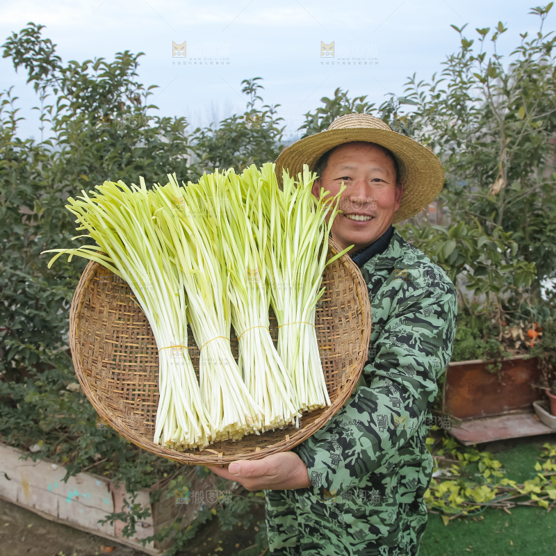 手上拿着新鲜韭黄