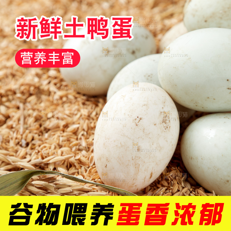 浅底上的鸭蛋