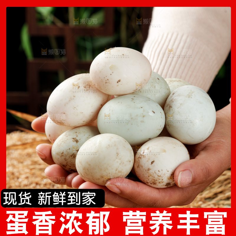浅底上的鸭蛋