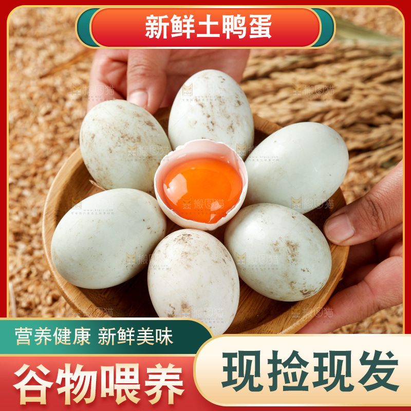 浅底上的鸭蛋