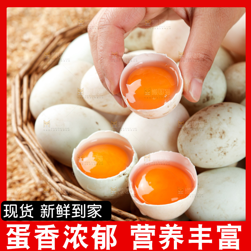 浅底上的鸭蛋