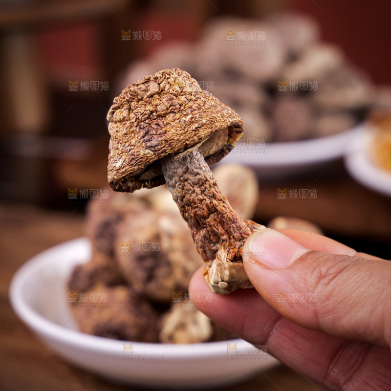 深底上的姬松茸