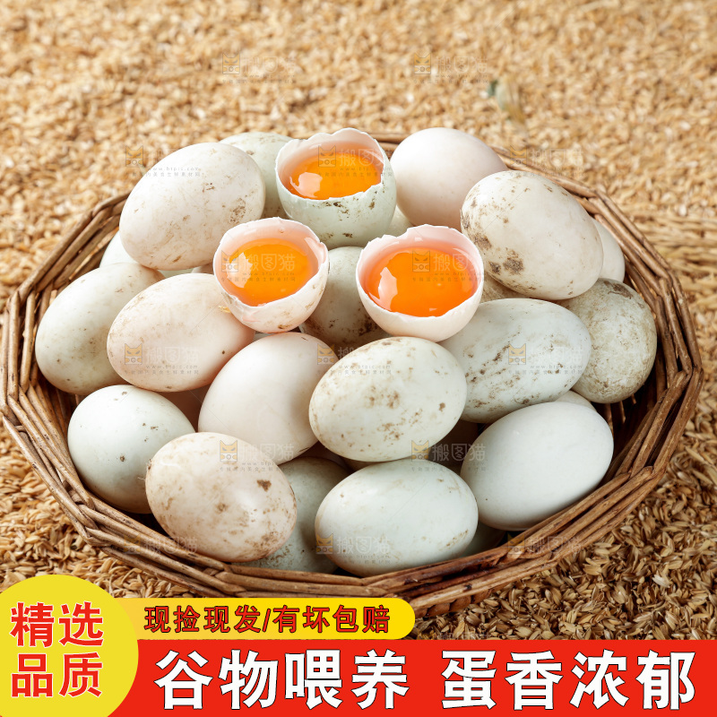 浅底上的鸭蛋