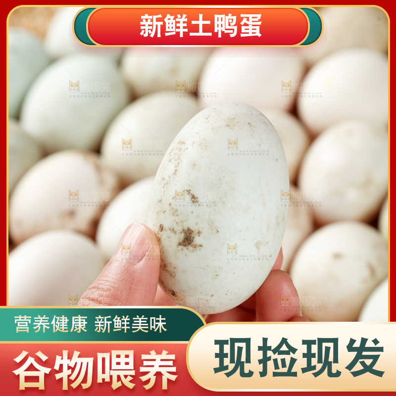 浅底上的鸭蛋
