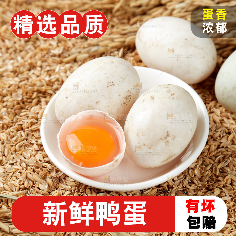 浅底上的鸭蛋