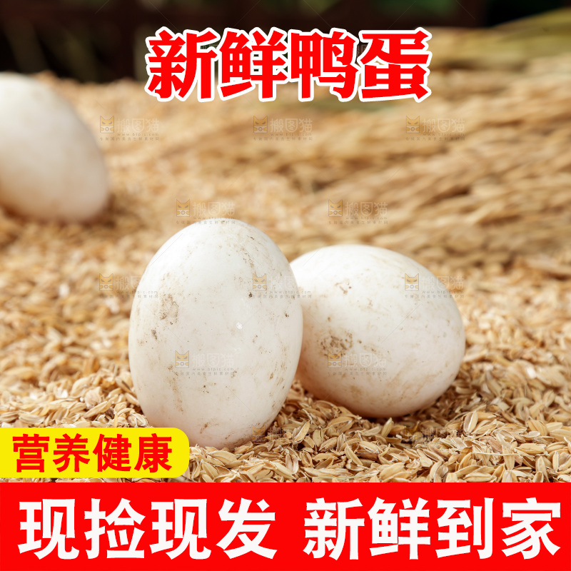 浅底上的鸭蛋