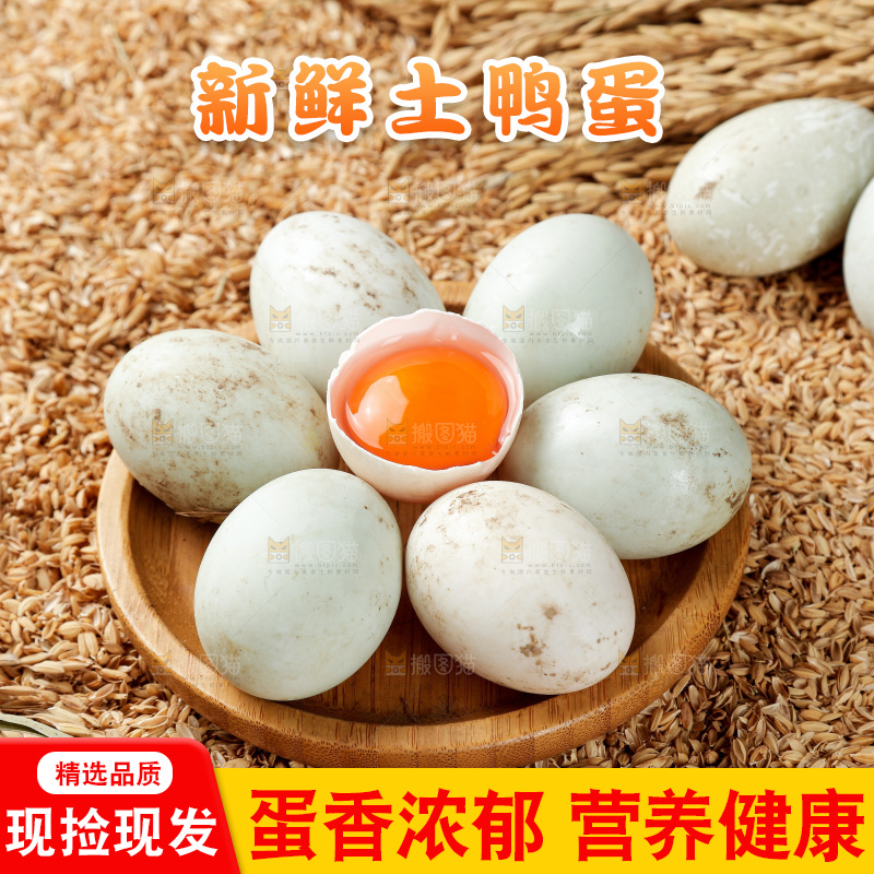 浅底上的鸭蛋