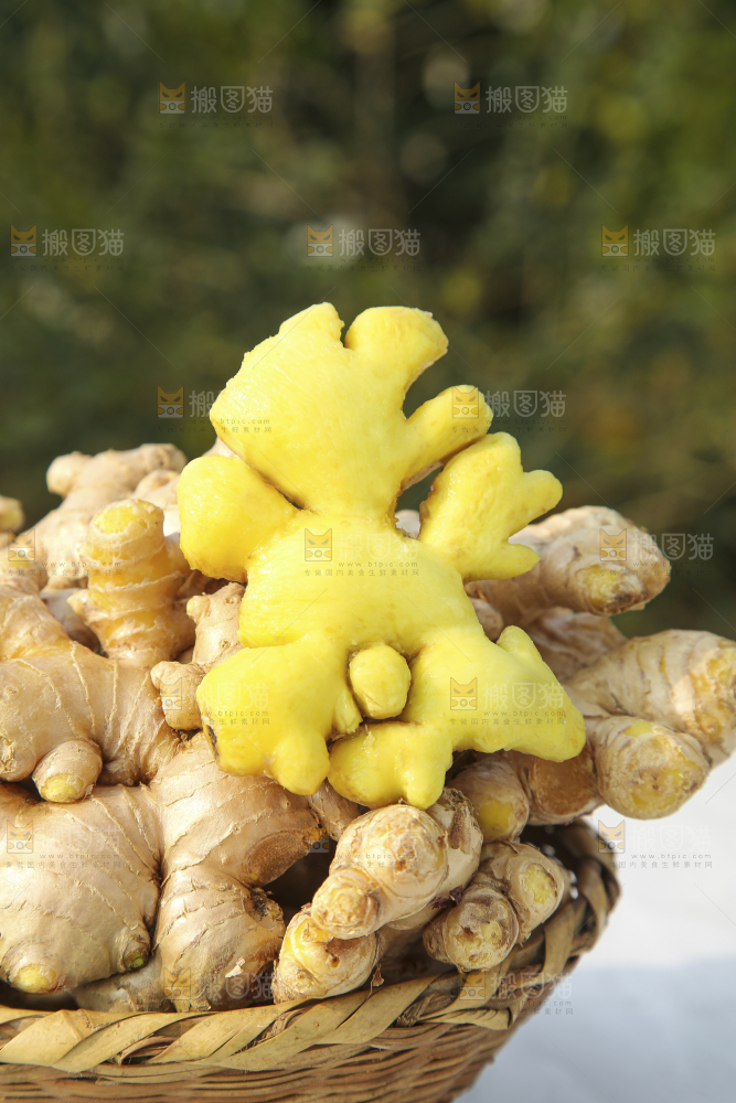 浅底上的小黄姜