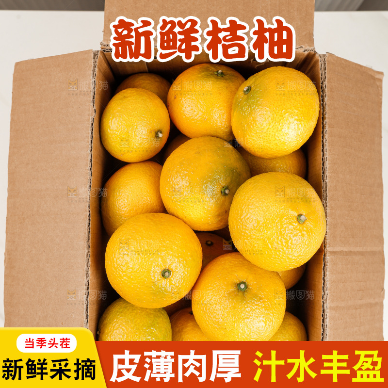 浅底上的桔柚